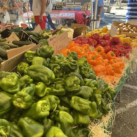 Апартаменты Cosy Avec Terrasse, Clim, A 50m Et 100m Commerces, - Fr-1-226a-177 *